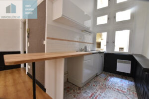 STUDIO CUIS EQUIPEE LE PUY EN VELAY – 1 pièce(s) – 35 m2