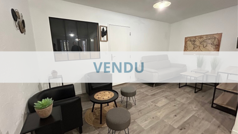 Appartement LE PUY EN VELAY 1 Pièce 55 m²