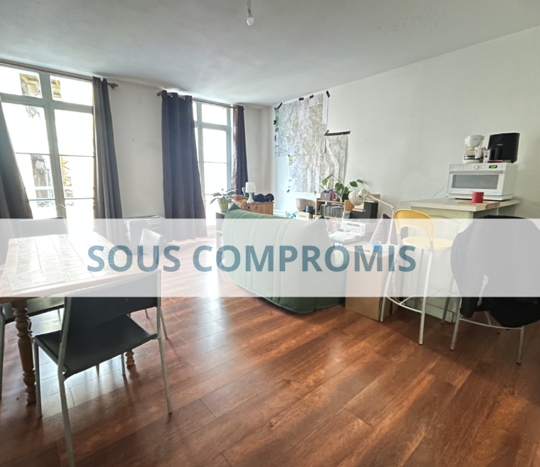 2 CENTRE VILLE 60 M2 DEJA LOUE