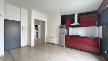 STUDIO RENOVE 29 M2 LE PUY