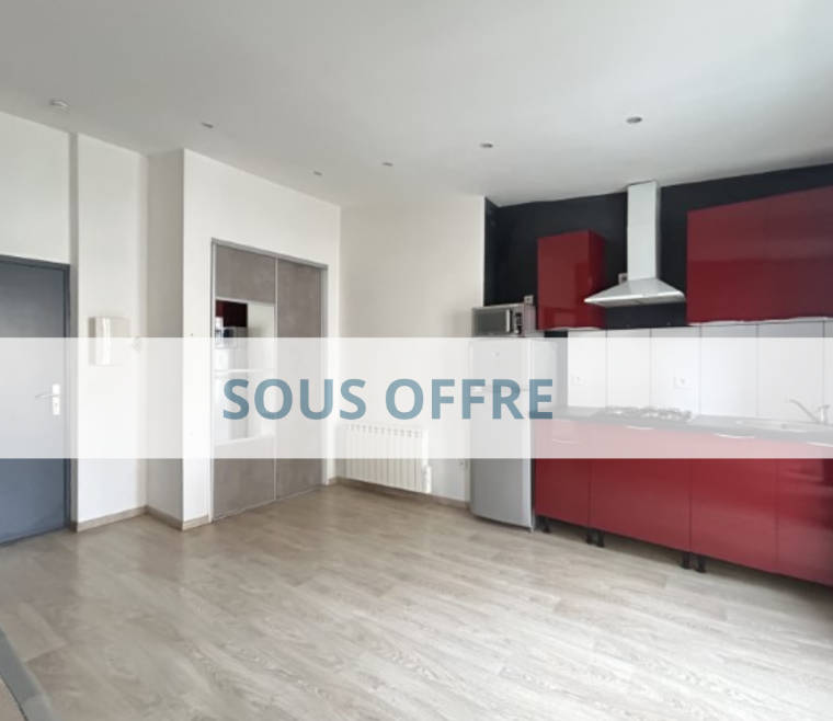 STUDIO RENOVE 29 M2 LE PUY