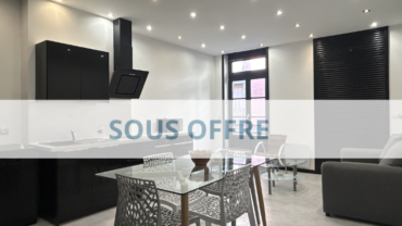 F2 40 M2 RENOVE CENTRE VILLE (PANNESSAC)