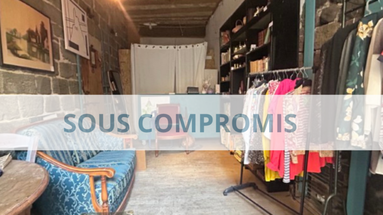 Local commercial LE PUY EN VELAY 1 Pièce 22 m²