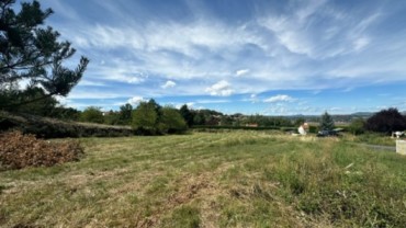 Terrain