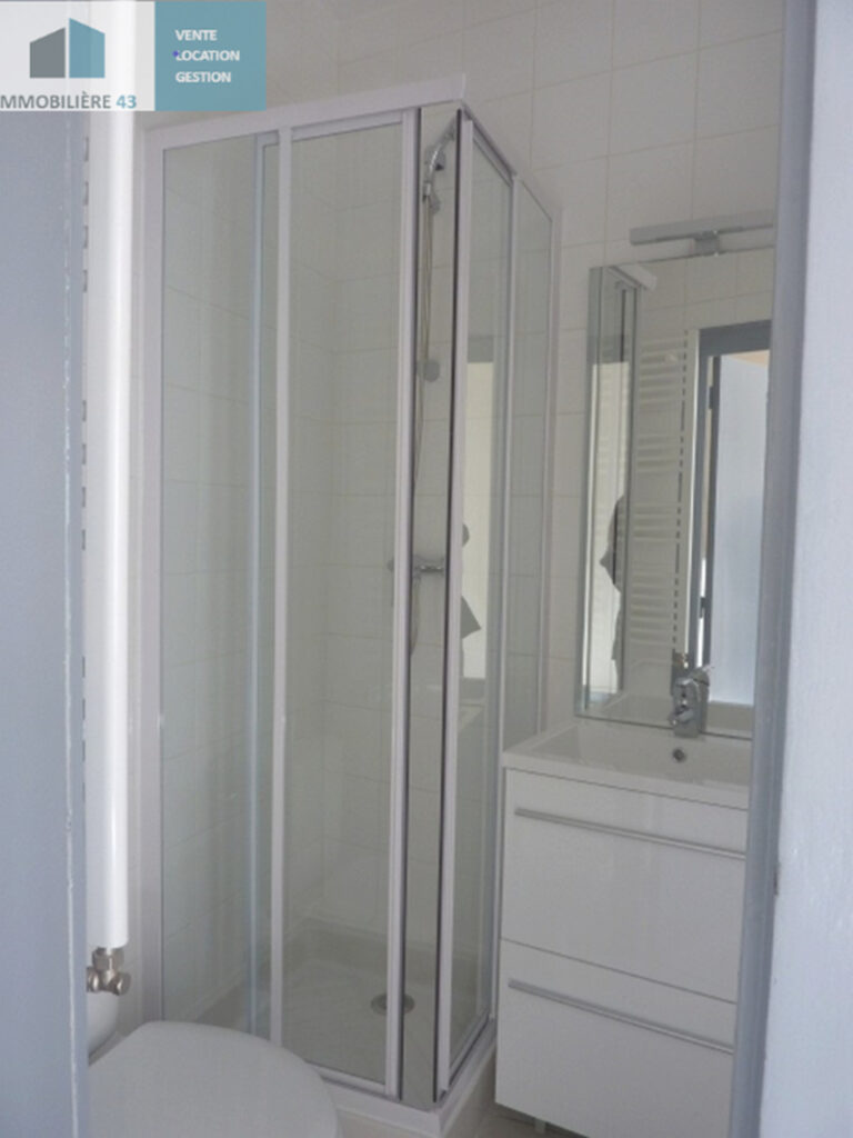 T2 CUISINE EQUIPEE LE PUY EN VELAY – 2 pièce(s) – 46 m2
