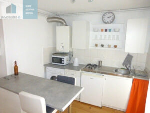 T2 MEUBLE LE PUY EN VELAY – 2 pièce(s) – 37 m2