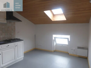 T1 CUISINE EQUIPEE LE PUY EN VELAY – 1 pièce(s) – 22 m2