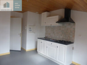 T1 CUISINE EQUIPEE LE PUY EN VELAY – 1 pièce(s) – 22 m2