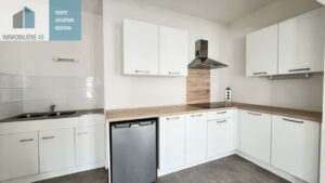 APPARTEMENT T2 RENOVE LE PUY EN VELAY – 2 pièce(s) – 49 m2