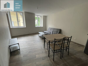Appartement Le Puy En Velay 2 pièce(s) 41 m2