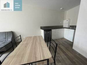 Appartement Le Puy En Velay 2 pièce(s) 41 m2