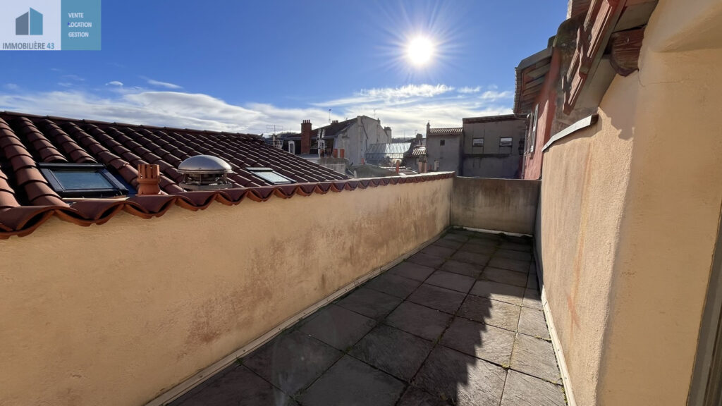 T4 DUPLEX + TERRASSE CENTRE VILLE