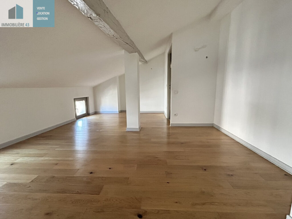 T4 DUPLEX + TERRASSE CENTRE VILLE