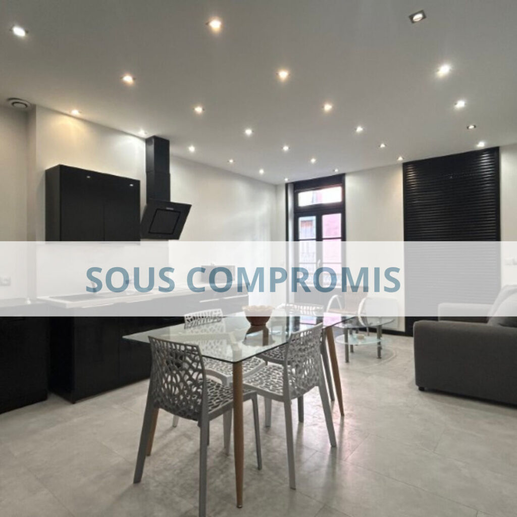F2 40 M2 RENOVE CENTRE VILLE (PANNESSAC)