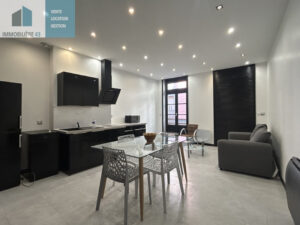 F2 40 M2 RENOVE CENTRE VILLE (PANNESSAC)