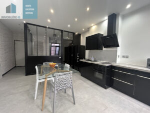 F2 40 M2 RENOVE CENTRE VILLE (PANNESSAC)