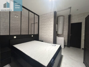 F2 40 M2 RENOVE CENTRE VILLE (PANNESSAC)
