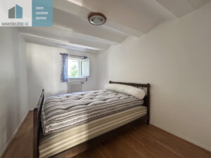 Ensemble immobilier 180 m2 + 2 garages LE PUY