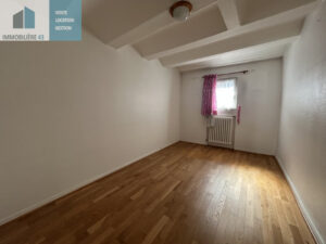 Ensemble immobilier 180 m2 + 2 garages LE PUY