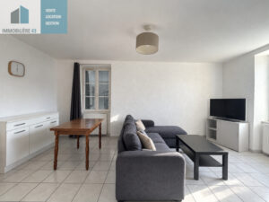 IMMEUBLE DE 8 LOGEMENTS + STATIONNEMENTS + CAVES LE PUY EN VELAY