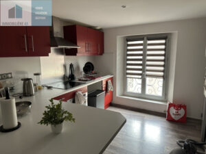 T1 CUISINE EQUIPEE LE PUY EN VELAY – 1 pièce(s) – 34 m2