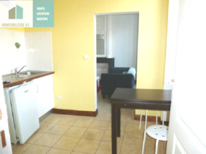 BEAU T2 CUISINE EQUIPEE LE PUY EN VELAY – 2 pièce(s) – 38 m2